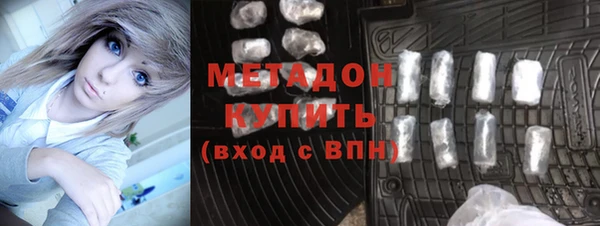 индика Арсеньев