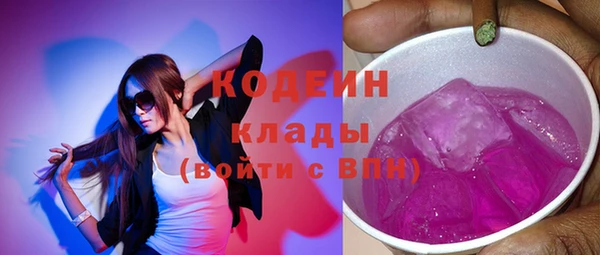 индика Арсеньев