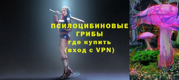 индика Арсеньев
