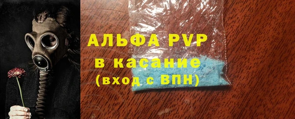 индика Арсеньев