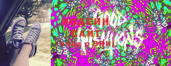индика Арсеньев