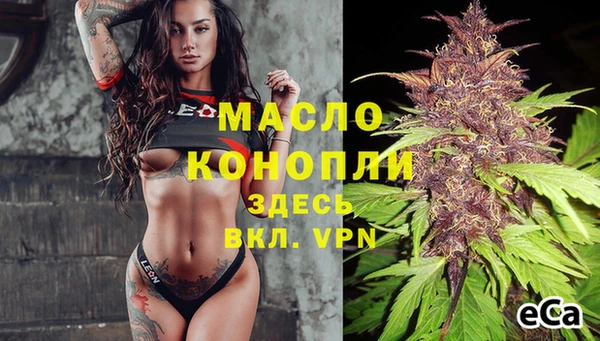 индика Арсеньев